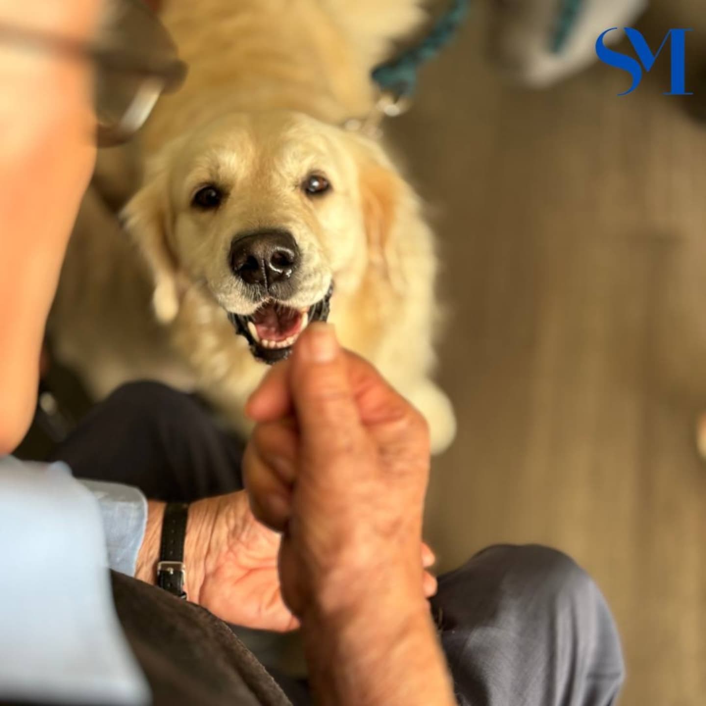 Stella Maris Pet Therapy 1