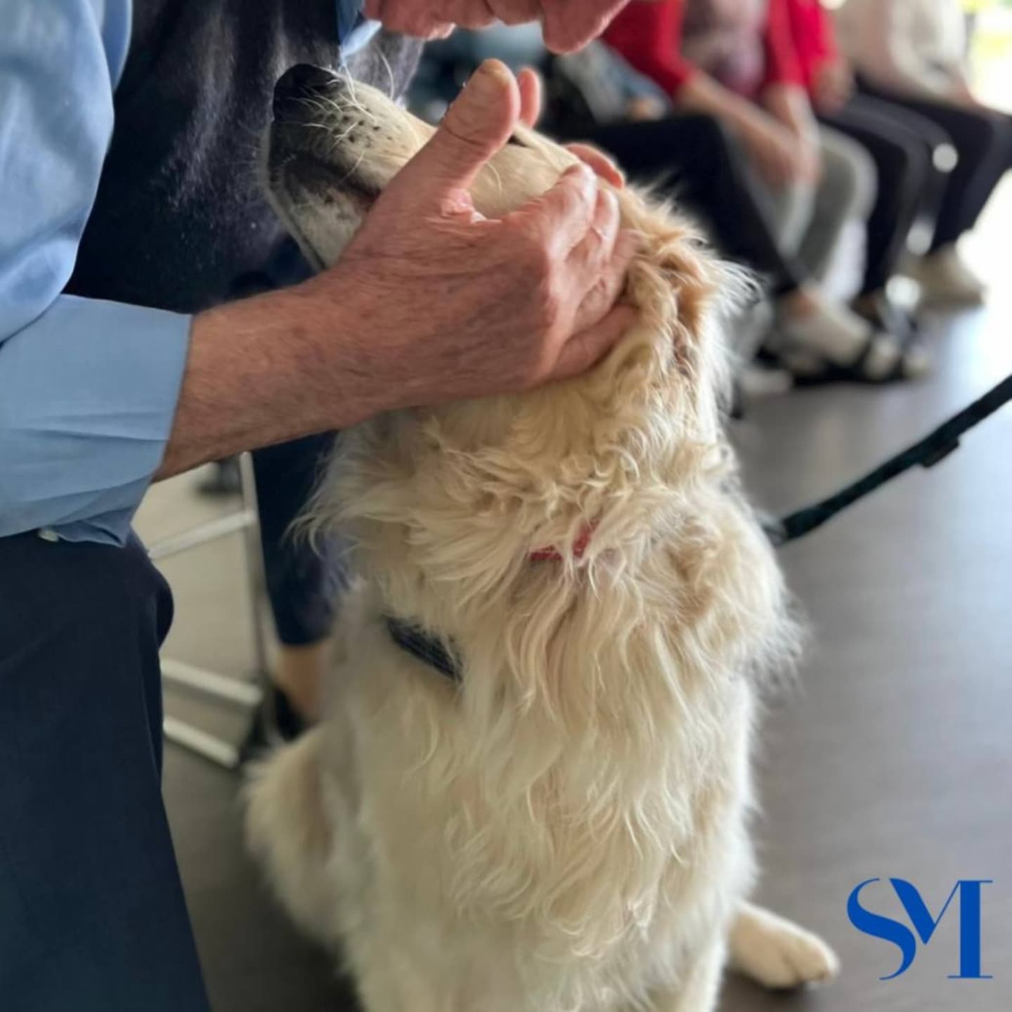Stella Maris Pet Therapy 10