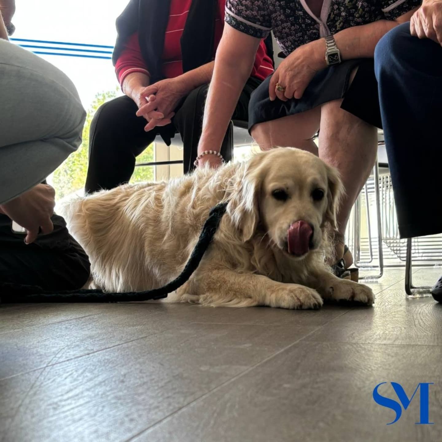 Stella Maris Pet Therapy 11