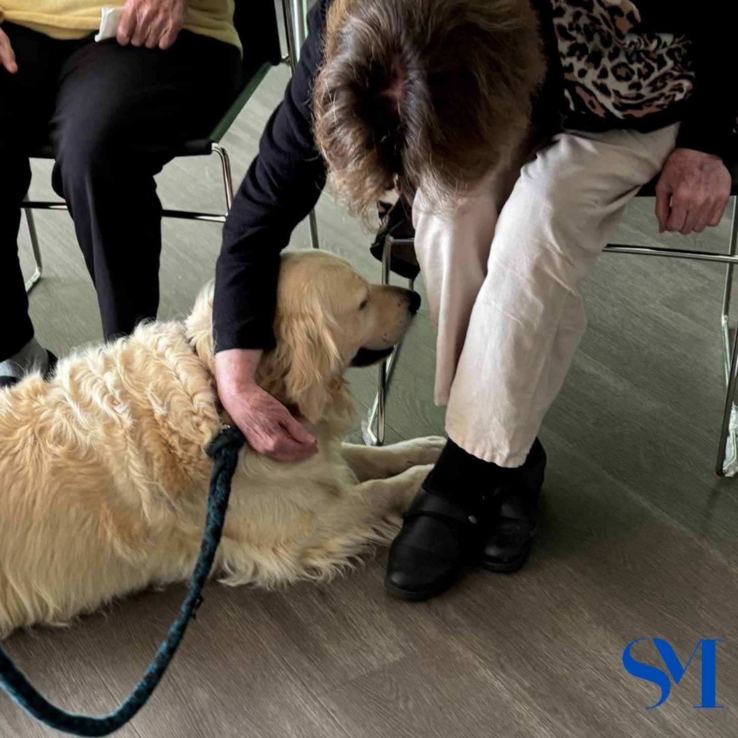 Stella Maris Pet Therapy 12
