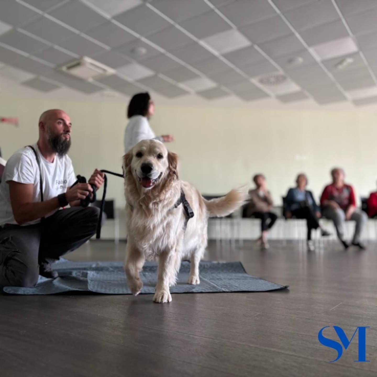 Stella Maris Pet Therapy 13