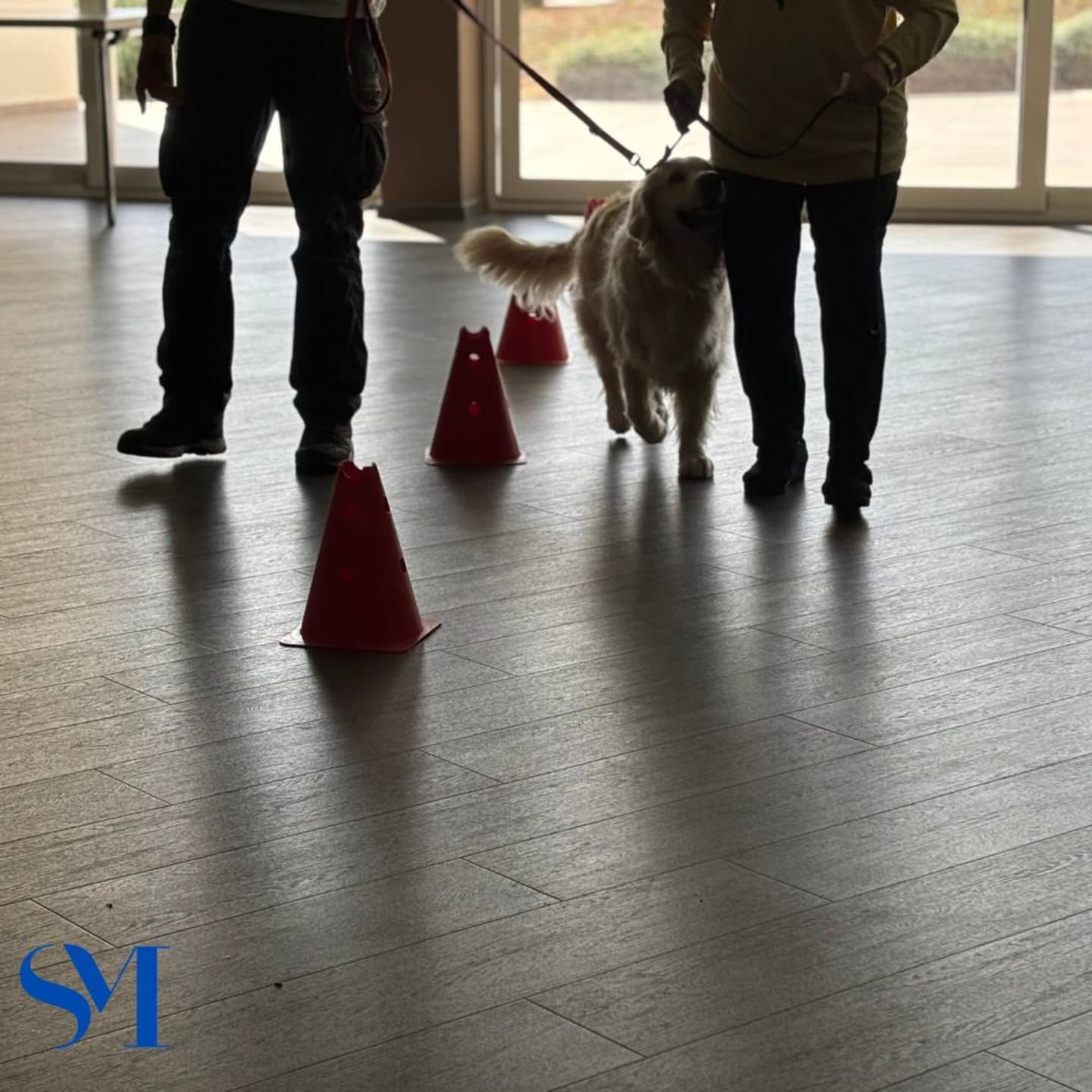 Stella Maris Pet Therapy 14