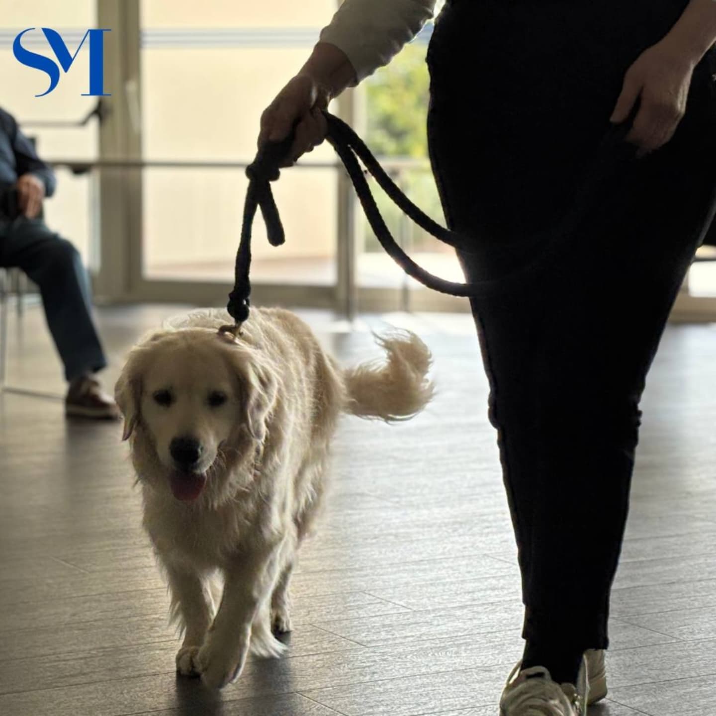 Stella Maris Pet Therapy 2
