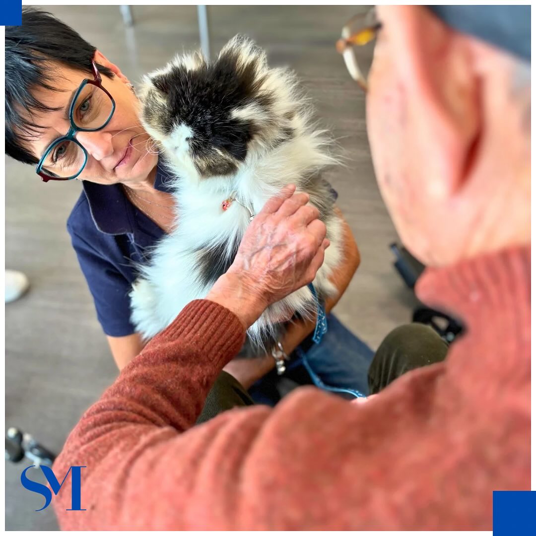 Stella Maris Pet Therapy 2