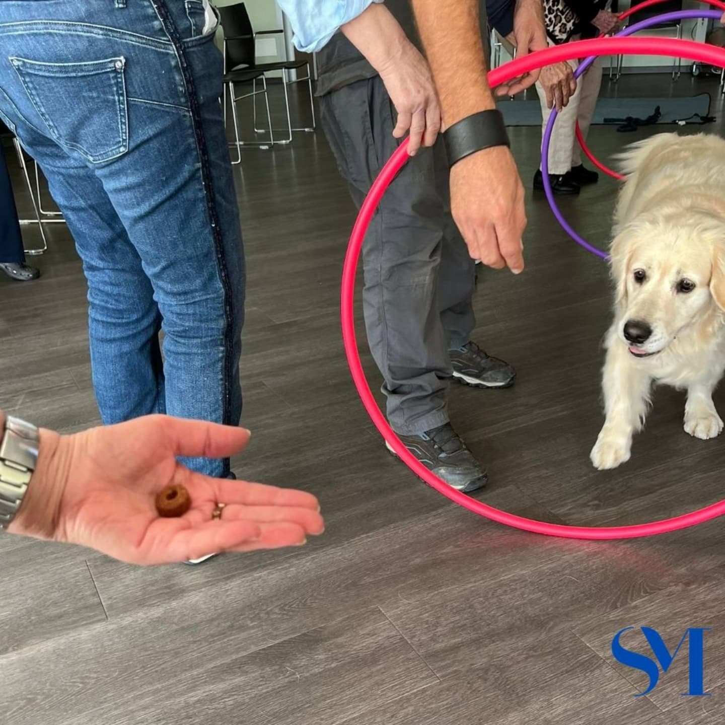 Stella Maris Pet Therapy 3