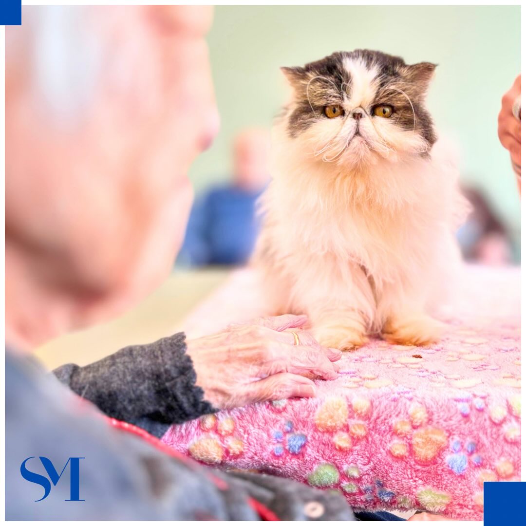 Stella Maris Pet Therapy 3