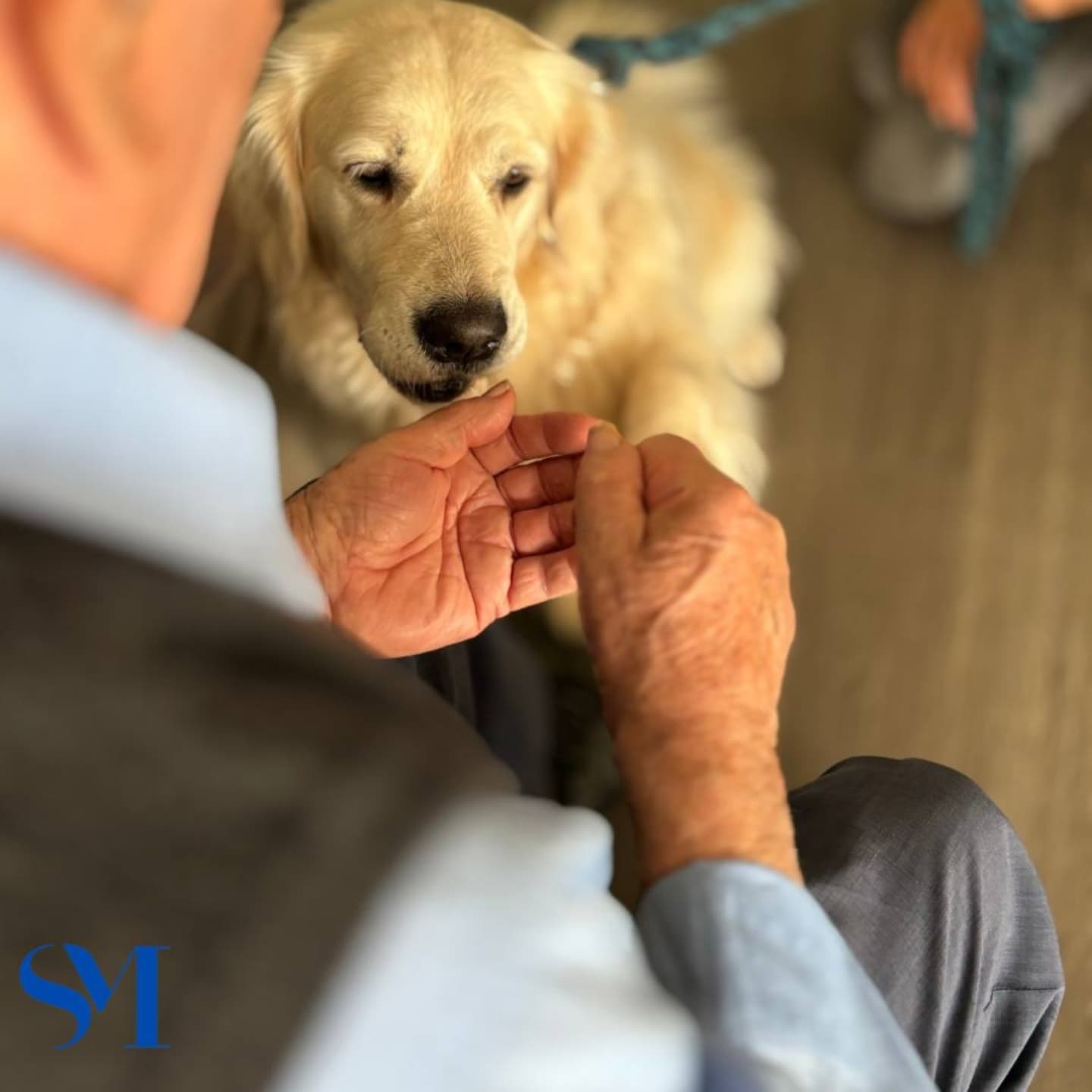 Stella Maris Pet Therapy 4