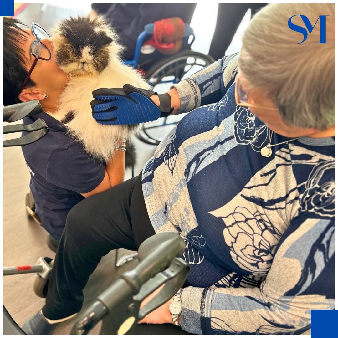 Stella Maris Pet Therapy 4