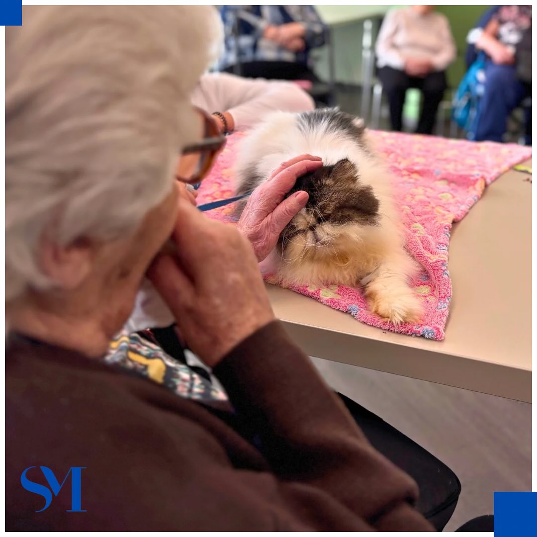 Stella Maris Pet Therapy 5