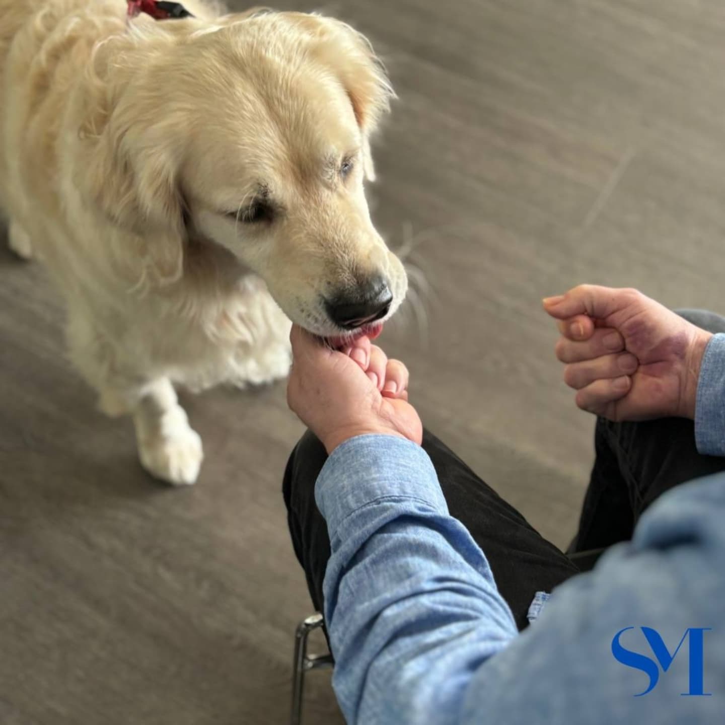 Stella Maris Pet Therapy 6