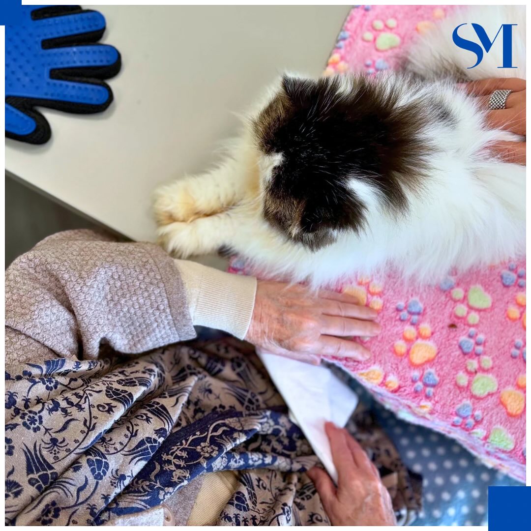 Stella Maris Pet Therapy 6