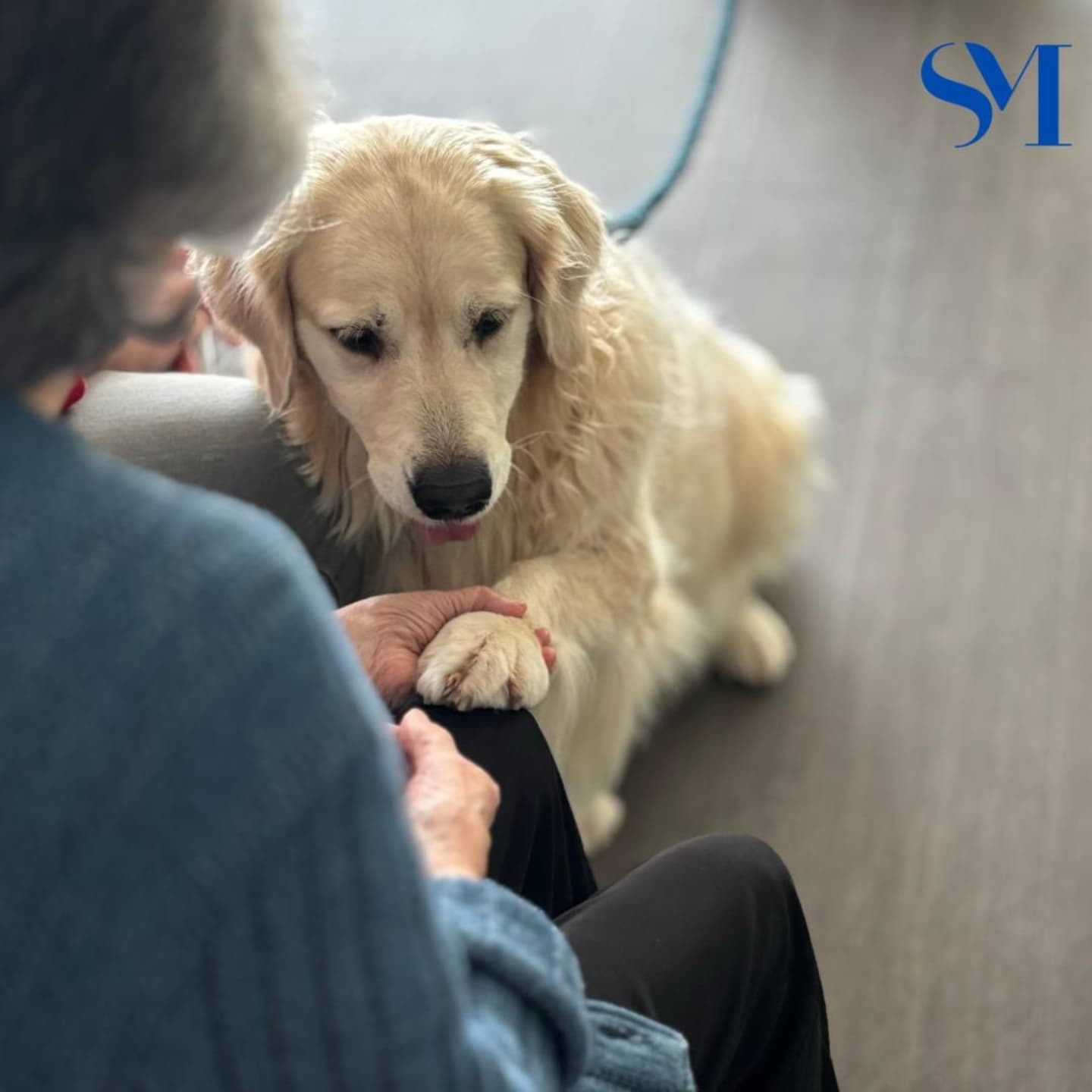 Stella Maris Pet Therapy 7