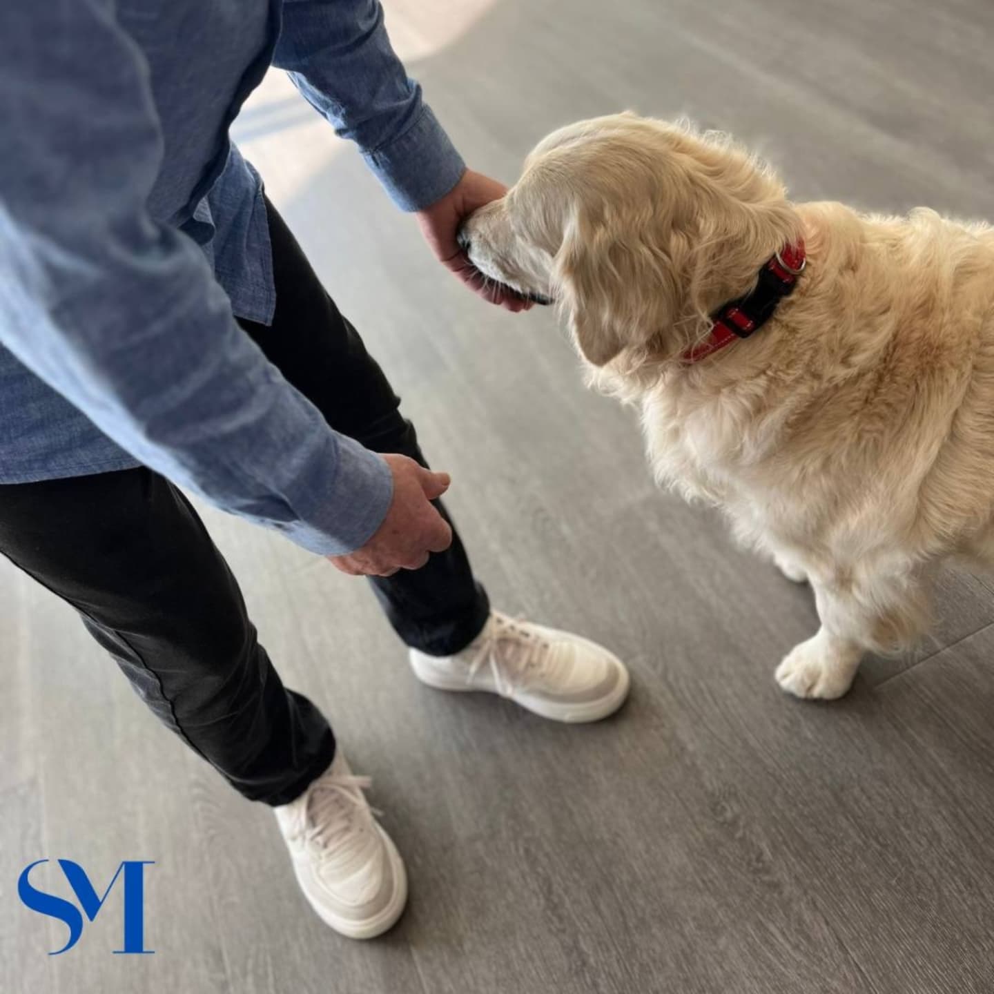 Stella Maris Pet Therapy 8