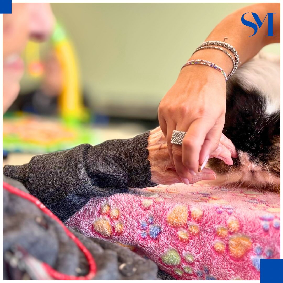 Stella Maris Pet Therapy 8