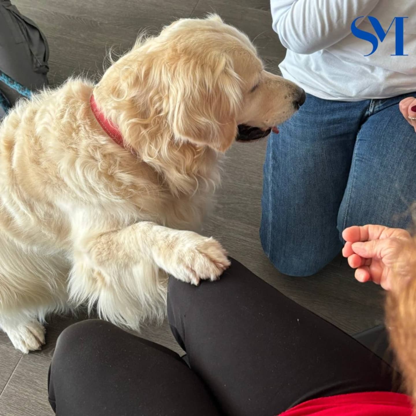 Stella Maris Pet Therapy 9